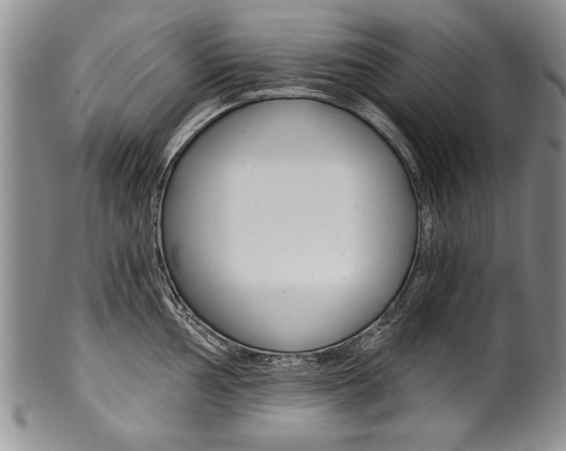 X0000101121002200806261041