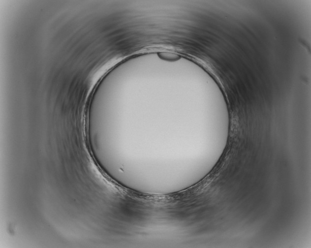 X0000101121003200806261041