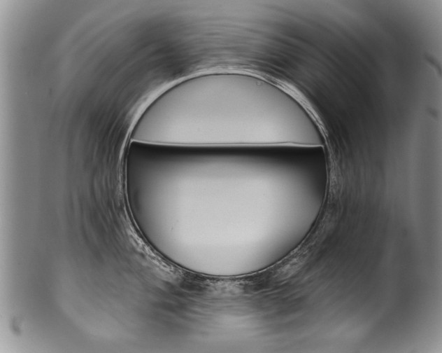X0000101121004200806261041