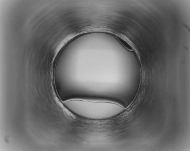 X0000101121005200806261041