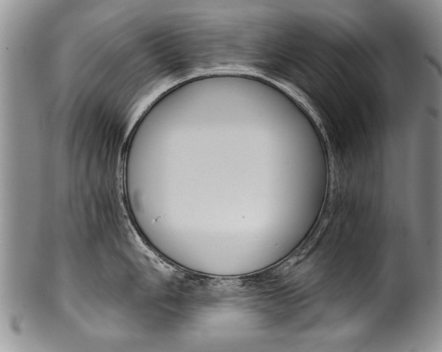 X0000101121006200806261041