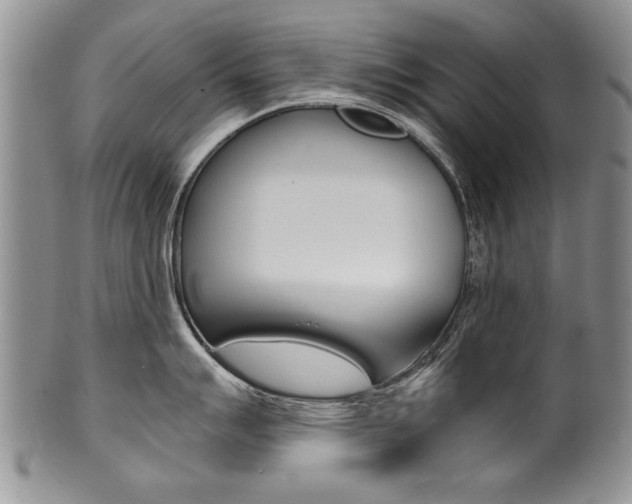 X0000101121007200806261041