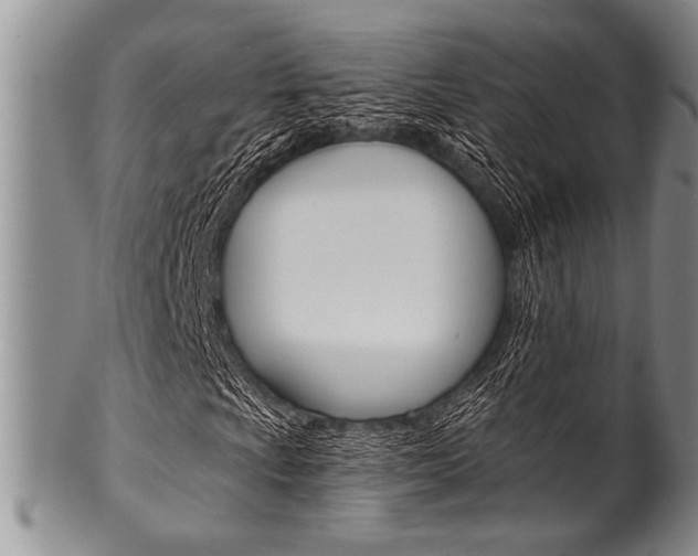 X0000101121009200806261040