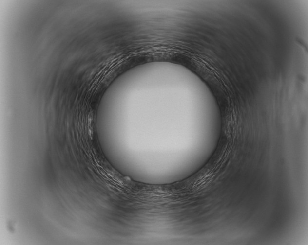X0000101121010200806261040