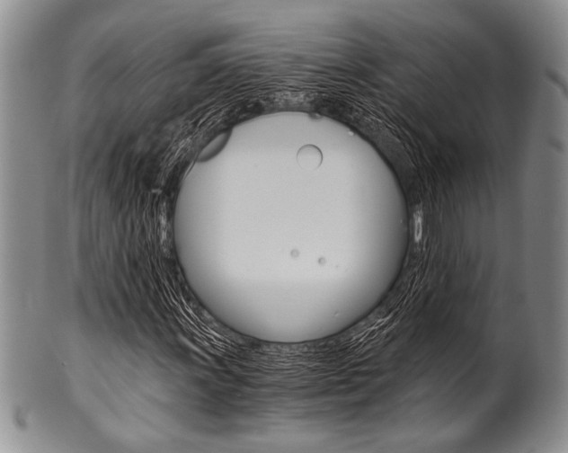 X0000101121011200806261040