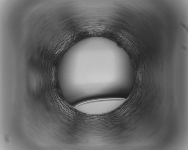 X0000101121012200806261040