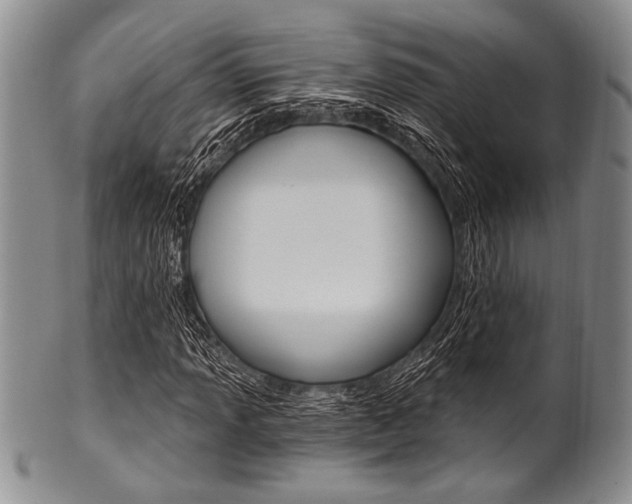 X0000101121013200806261040