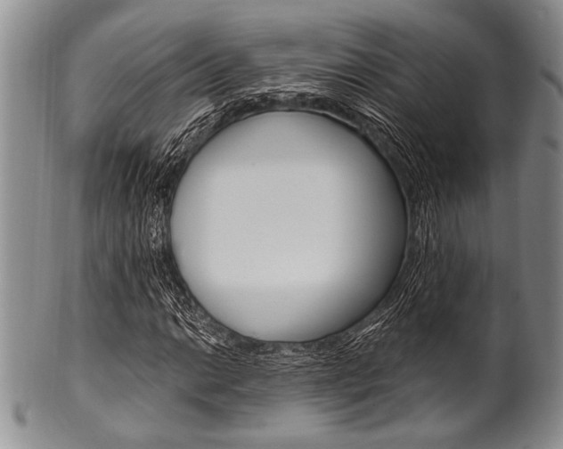 X0000101121014200806261040