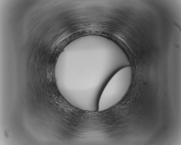X0000101121015200806261040