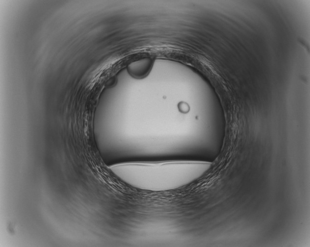 X0000101121016200806261040