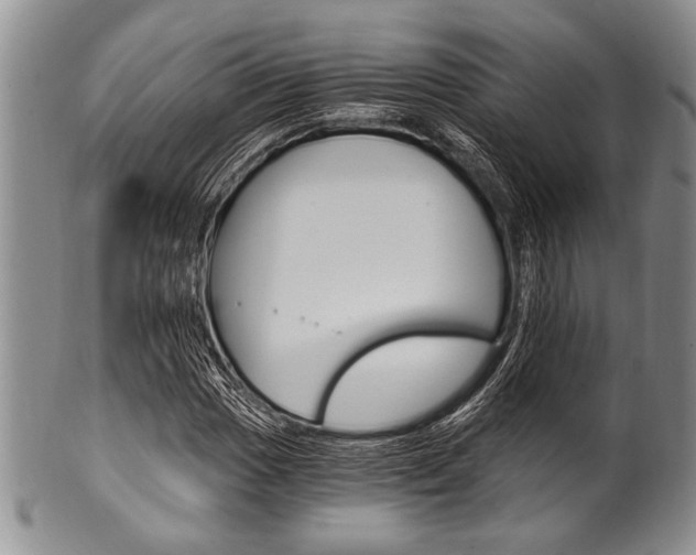 X0000101121017200806261040
