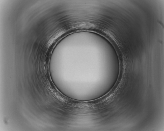 X0000101121018200806261040