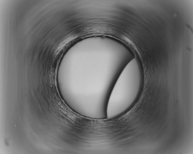 X0000101121019200806261040