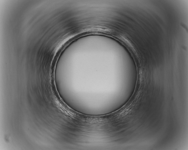 X0000101121020200806261040