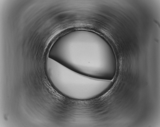 X0000101121021200806261040