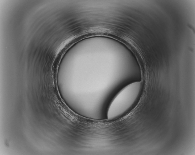X0000101121022200806261040
