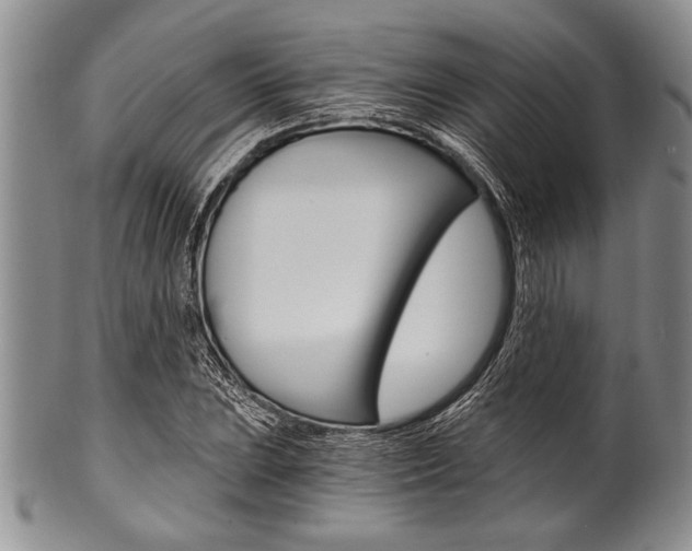 X0000101121023200806261040