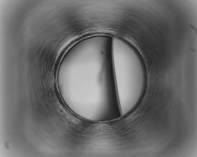 X0000101121024200806261040