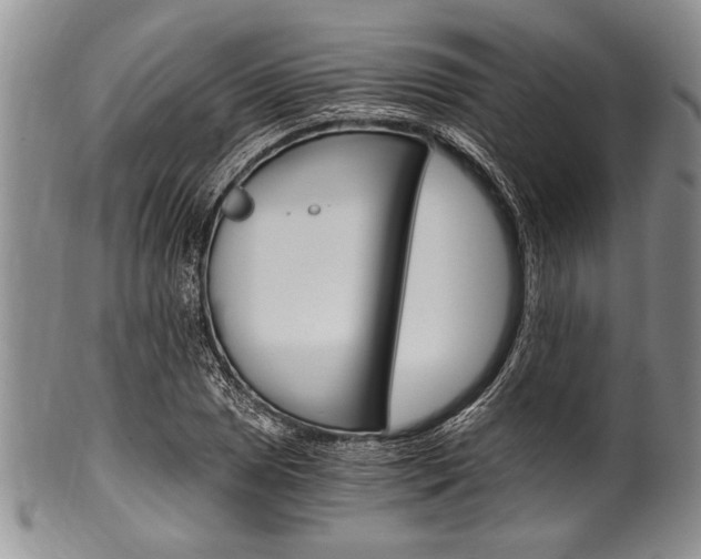 X0000101121025200806261040