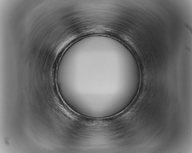 X0000101121026200806261040