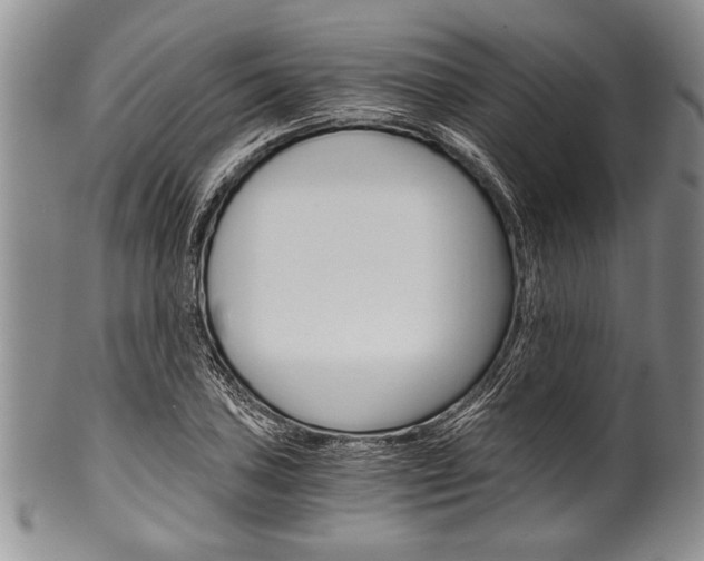 X0000101121027200806261040
