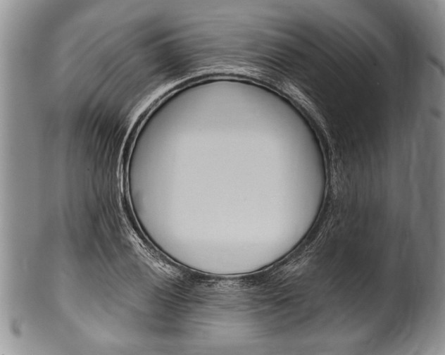 X0000101121028200806261040