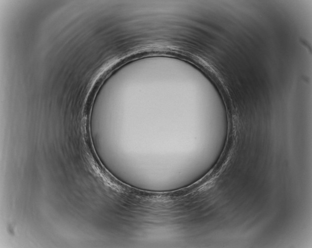 X0000101121029200806261040