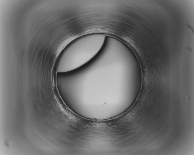 X0000101121030200806261040