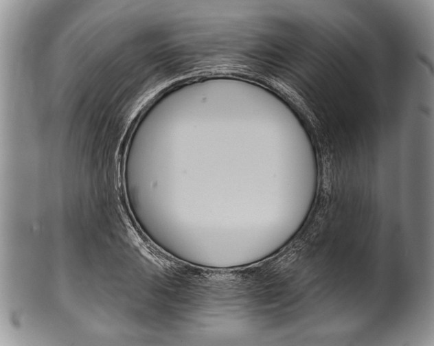 X0000101121031200806261040
