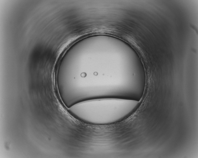 X0000101121032200806261040