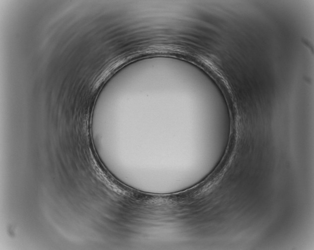 X0000101121033200806261040