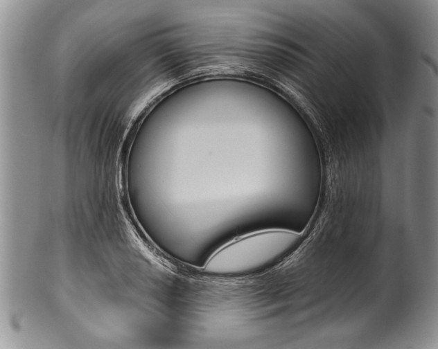 X0000101121034200806261040