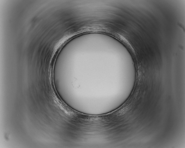 X0000101121035200806261040