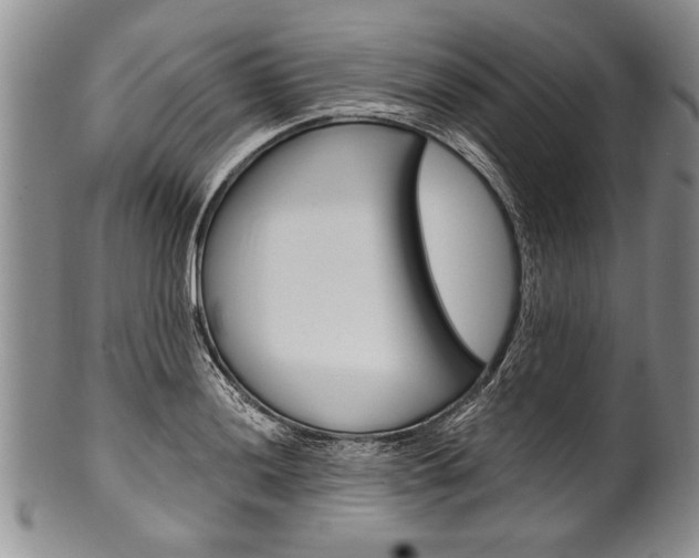 X0000101121036200806261040