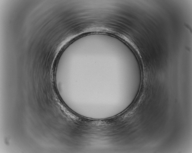X0000101121037200806261040