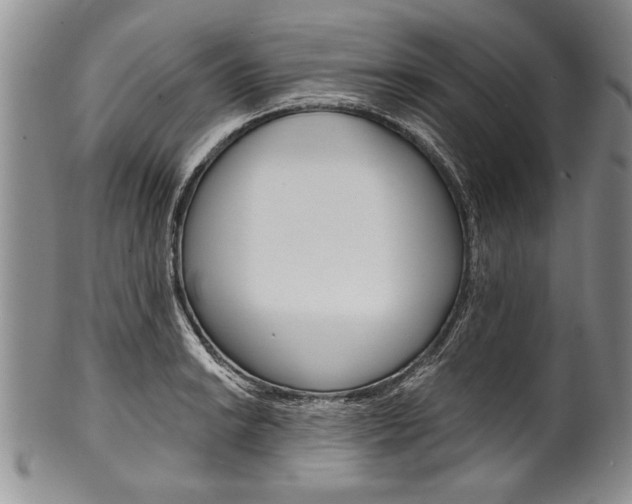 X0000101121038200806261040