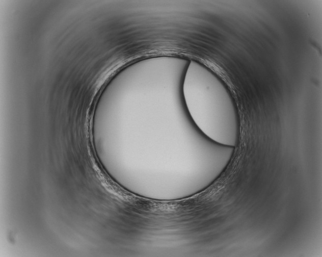 X0000101121039200806261040