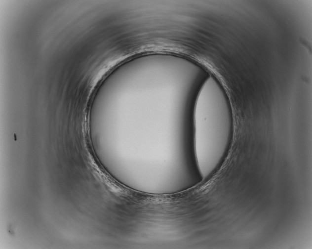 X0000101121040200806261040