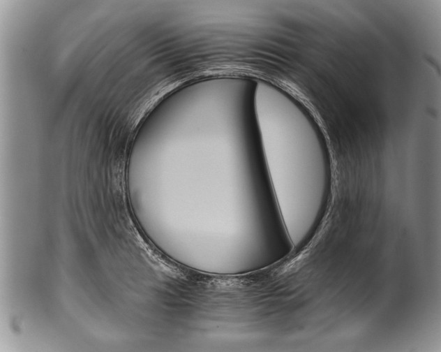 X0000101121041200806261040
