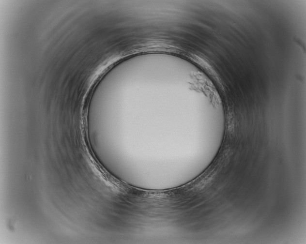 X0000101121043200806261040