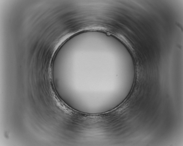 X0000101121044200806261040