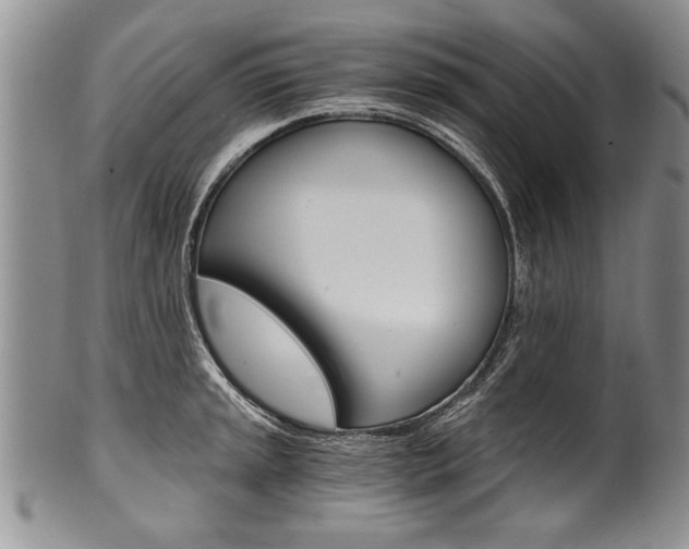 X0000101121045200806261040