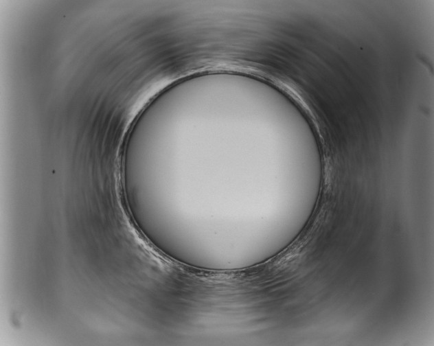 X0000101121048200806261040