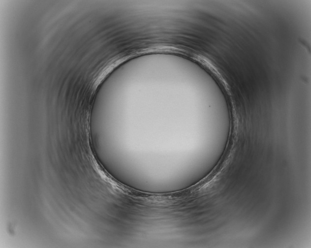 X0000101121049200806261041