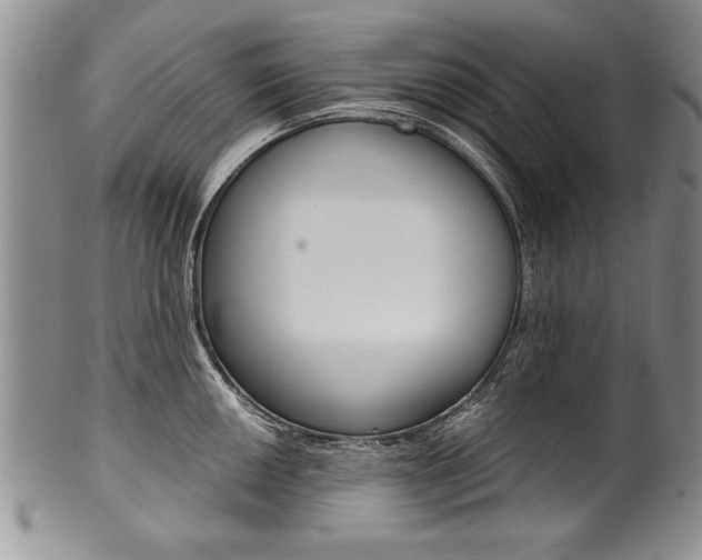 X0000101121050200806261041