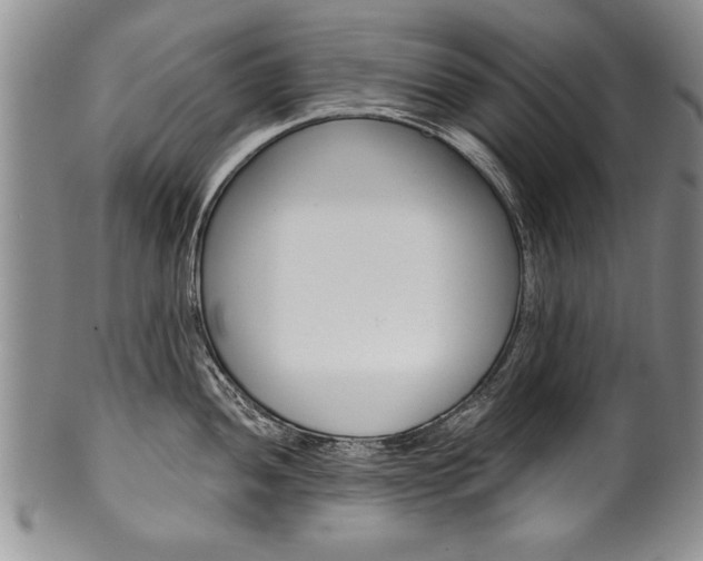 X0000101121052200806261041