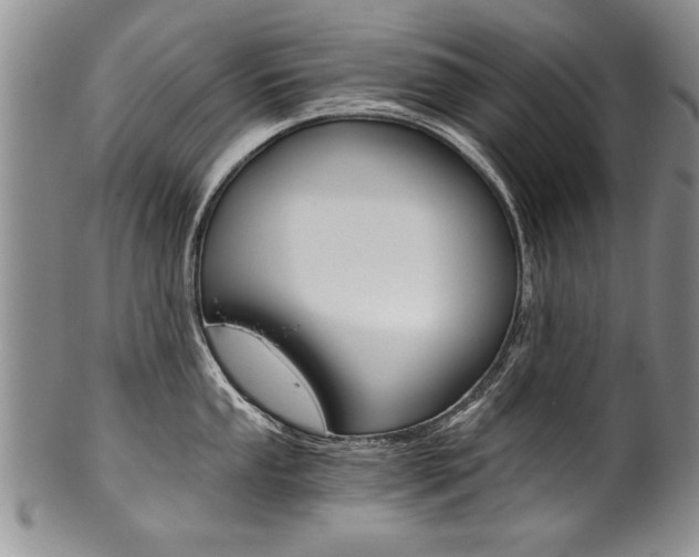 X0000101121053200806261041