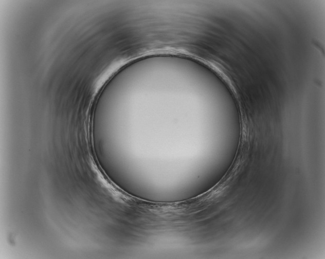 X0000101121054200806261041