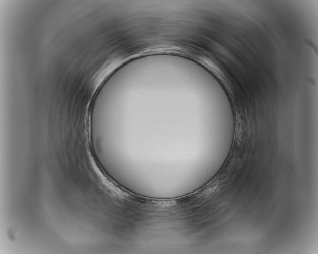 X0000101121055200806261041
