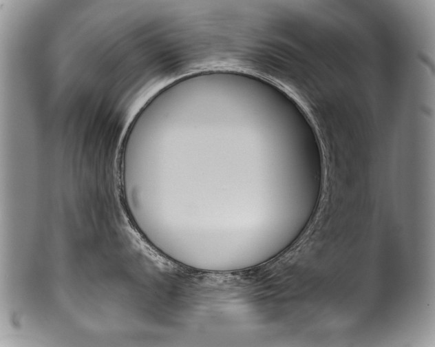 X0000101121056200806261041